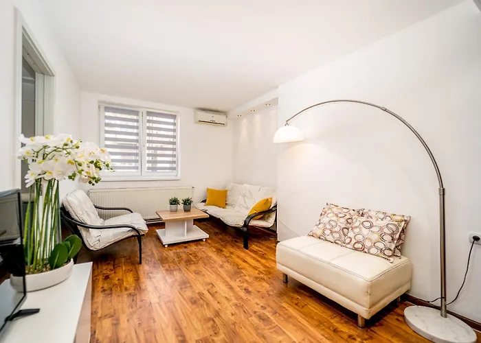 My * 베오그라드